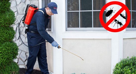 Dörtyol Dezenfeksiyon böcek ilaçlama ve haşere kontrolü — ilaclama-tr.com